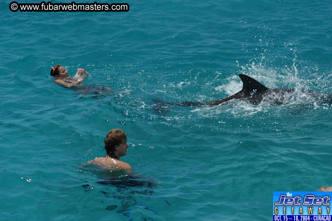 Saturday'sDolphin Swim Adventure and Animal Encounter 2004