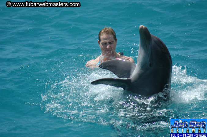 Saturday'sDolphin Swim Adventure and Animal Encounter 2004