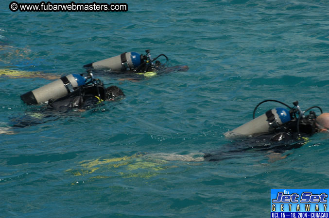 Saturday'sDolphin Swim Adventure and Animal Encounter 2004