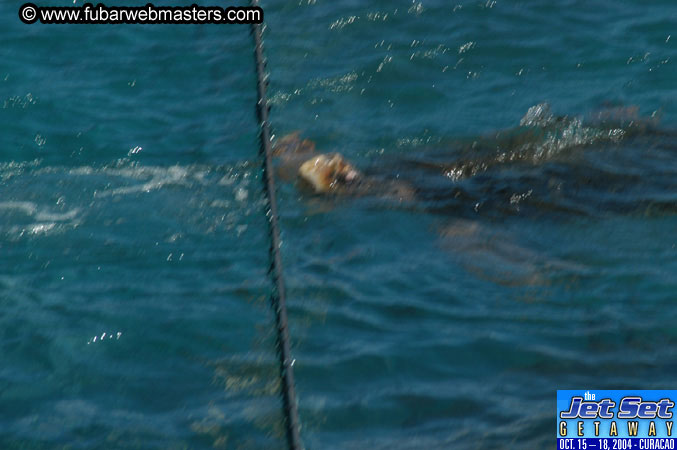 Saturday'sDolphin Swim Adventure and Animal Encounter 2004