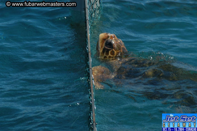 Saturday'sDolphin Swim Adventure and Animal Encounter 2004