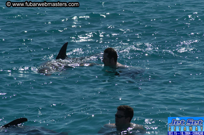 Saturday'sDolphin Swim Adventure and Animal Encounter 2004