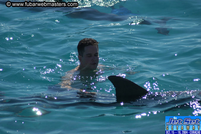 Saturday'sDolphin Swim Adventure and Animal Encounter 2004