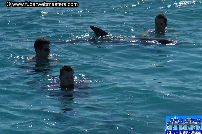 Saturday'sDolphin Swim Adventure and Animal Encounter 2004