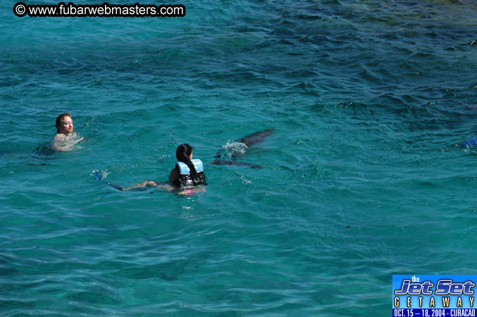 Saturday'sDolphin Swim Adventure and Animal Encounter 2004