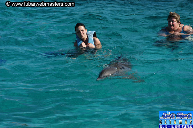 Saturday'sDolphin Swim Adventure and Animal Encounter 2004