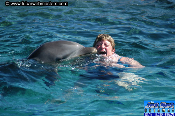 Saturday'sDolphin Swim Adventure and Animal Encounter 2004