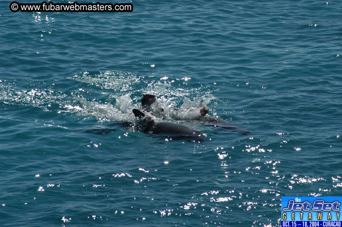 Saturday'sDolphin Swim Adventure and Animal Encounter 2004