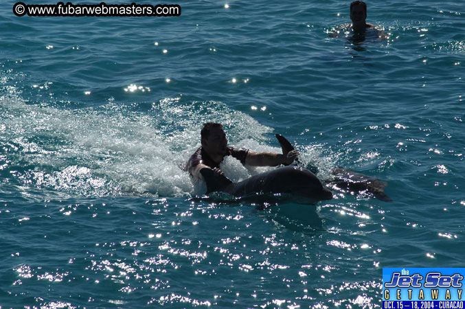 Saturday'sDolphin Swim Adventure and Animal Encounter 2004