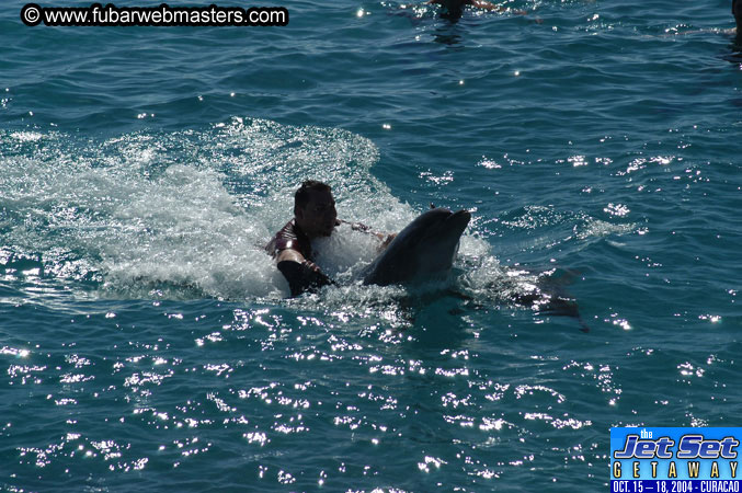 Saturday'sDolphin Swim Adventure and Animal Encounter 2004
