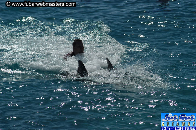 Saturday'sDolphin Swim Adventure and Animal Encounter 2004