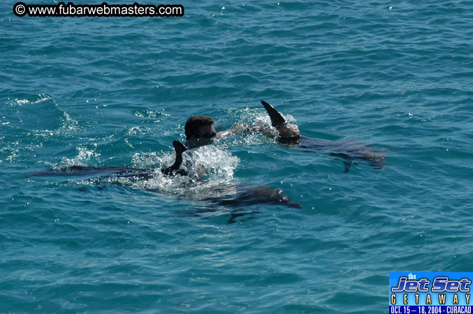 Saturday'sDolphin Swim Adventure and Animal Encounter 2004