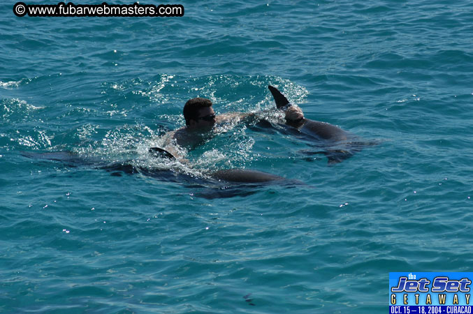 Saturday'sDolphin Swim Adventure and Animal Encounter 2004