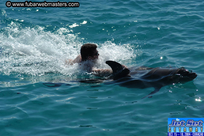 Saturday'sDolphin Swim Adventure and Animal Encounter 2004