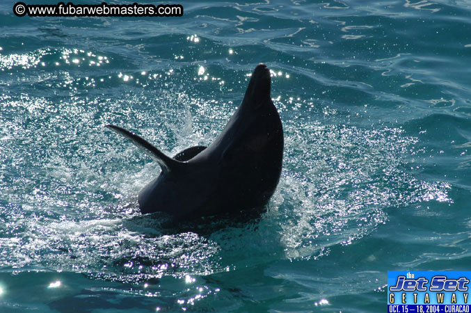 Saturday'sDolphin Swim Adventure and Animal Encounter 2004