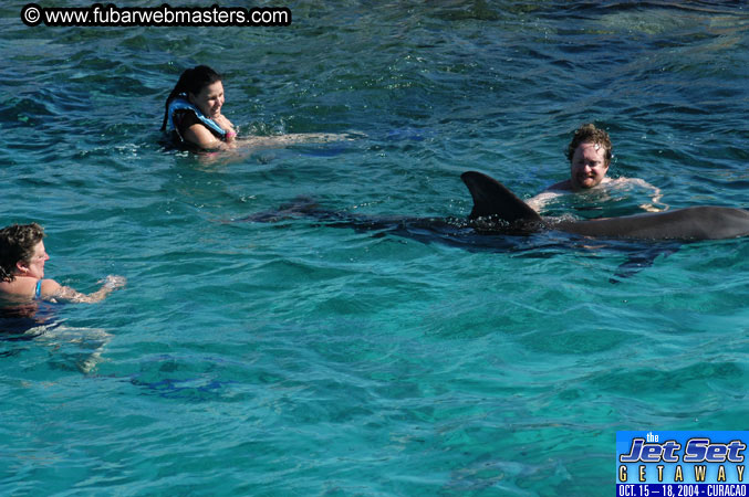 Saturday'sDolphin Swim Adventure and Animal Encounter 2004