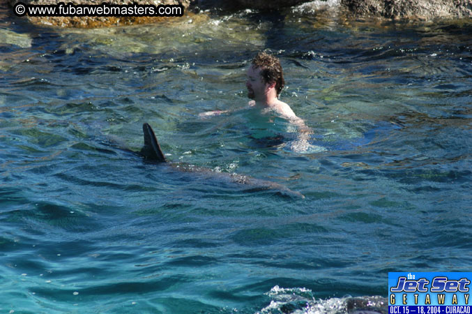 Saturday'sDolphin Swim Adventure and Animal Encounter 2004