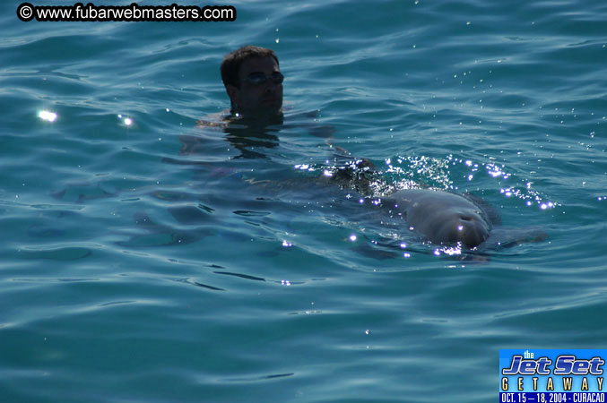 Saturday'sDolphin Swim Adventure and Animal Encounter 2004