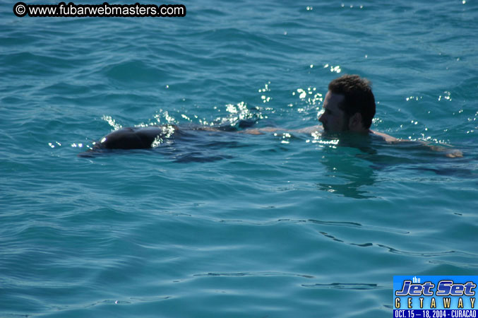 Saturday'sDolphin Swim Adventure and Animal Encounter 2004