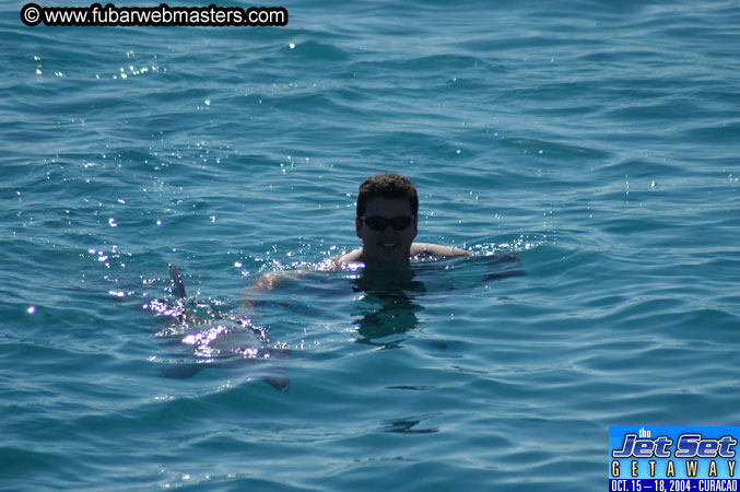 Saturday'sDolphin Swim Adventure and Animal Encounter 2004