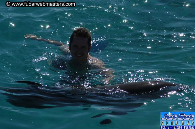 Saturday'sDolphin Swim Adventure and Animal Encounter 2004