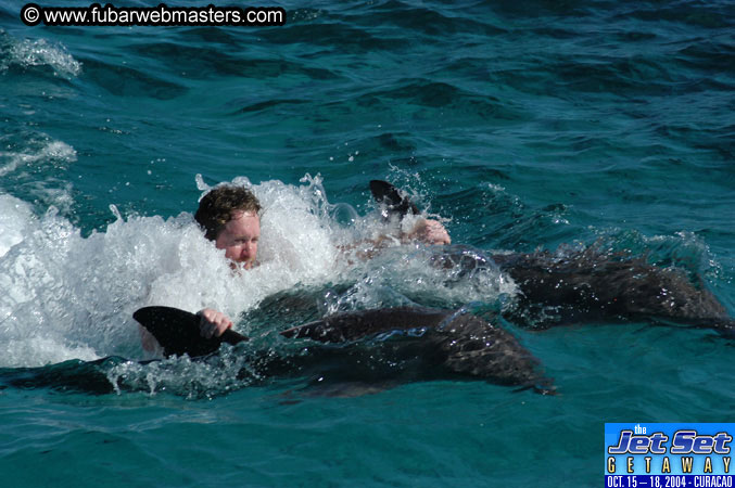 Saturday'sDolphin Swim Adventure and Animal Encounter 2004