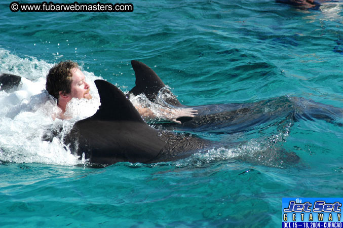 Saturday'sDolphin Swim Adventure and Animal Encounter 2004