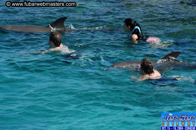 Saturday'sDolphin Swim Adventure and Animal Encounter 2004