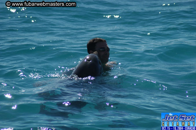 Saturday'sDolphin Swim Adventure and Animal Encounter 2004