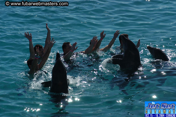 Saturday'sDolphin Swim Adventure and Animal Encounter 2004