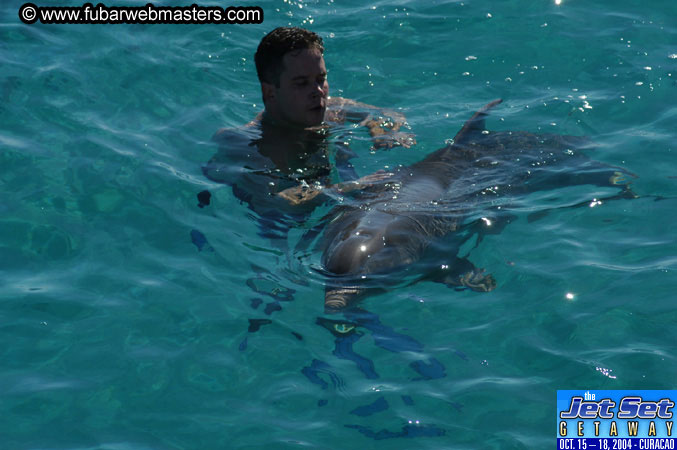 Saturday'sDolphin Swim Adventure and Animal Encounter 2004