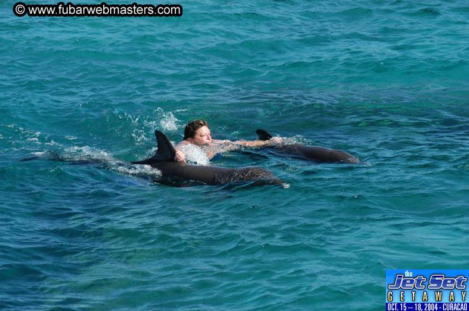 Saturday'sDolphin Swim Adventure and Animal Encounter 2004