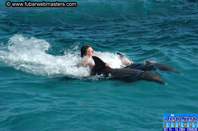 Saturday'sDolphin Swim Adventure and Animal Encounter 2004