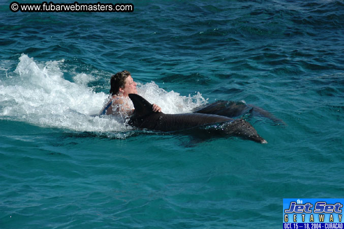 Saturday'sDolphin Swim Adventure and Animal Encounter 2004