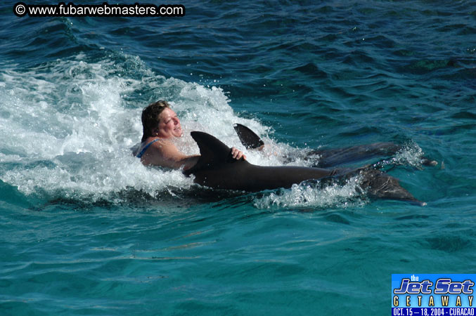 Saturday'sDolphin Swim Adventure and Animal Encounter 2004