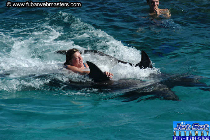 Saturday'sDolphin Swim Adventure and Animal Encounter 2004