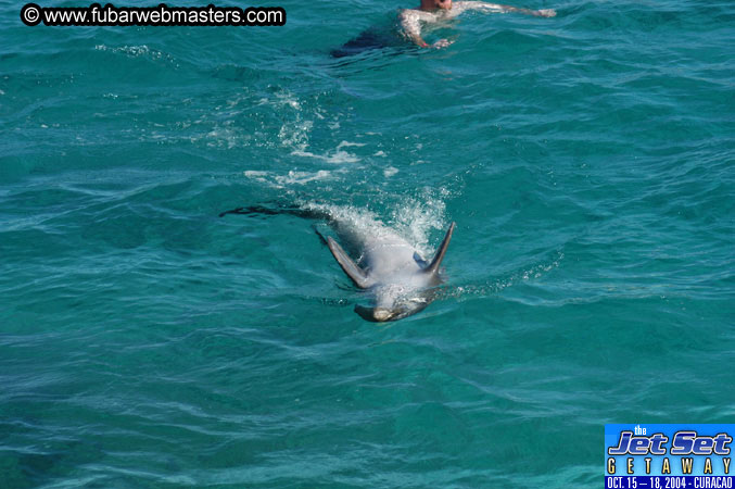 Saturday'sDolphin Swim Adventure and Animal Encounter 2004