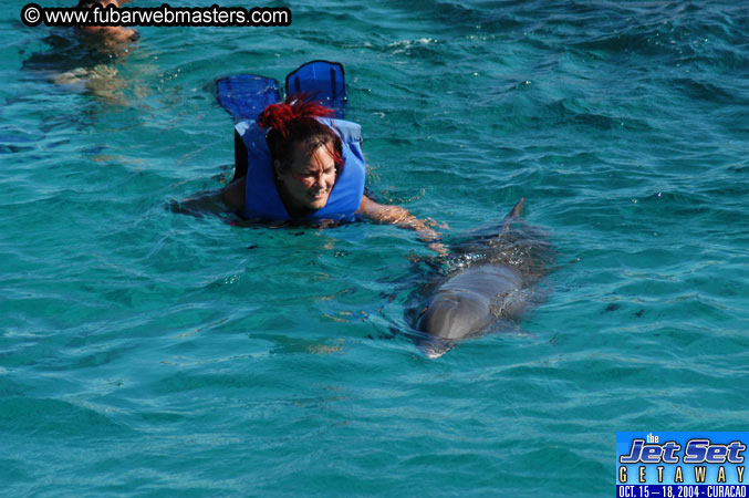 Saturday'sDolphin Swim Adventure and Animal Encounter 2004