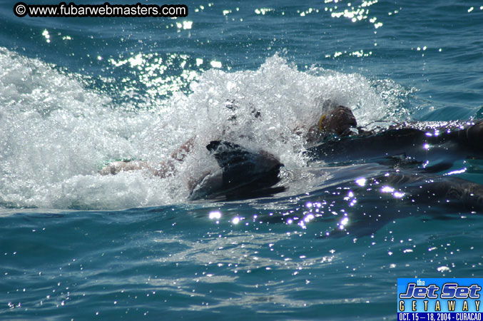 Saturday'sDolphin Swim Adventure and Animal Encounter 2004