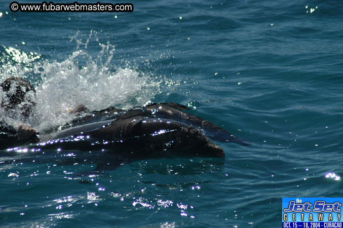 Saturday'sDolphin Swim Adventure and Animal Encounter 2004