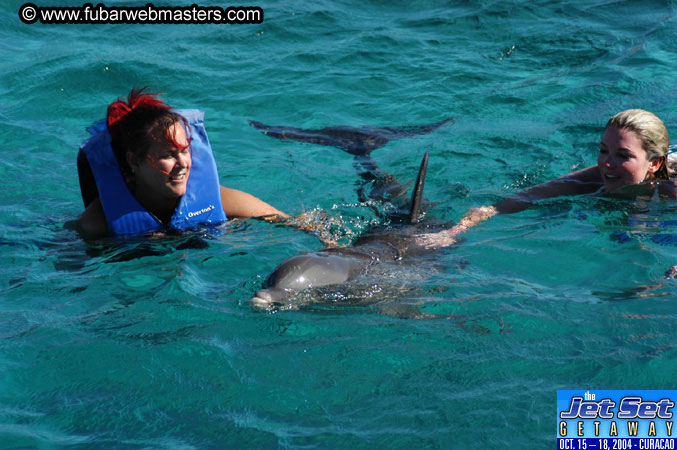 Saturday'sDolphin Swim Adventure and Animal Encounter 2004