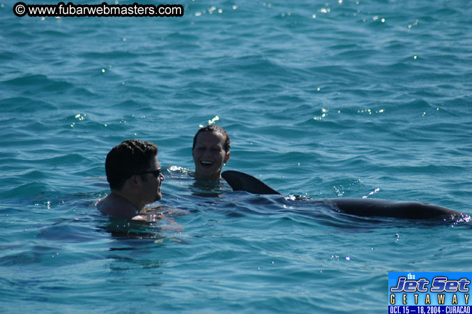 Saturday'sDolphin Swim Adventure and Animal Encounter 2004