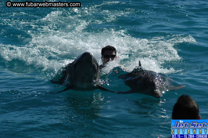 Saturday'sDolphin Swim Adventure and Animal Encounter 2004