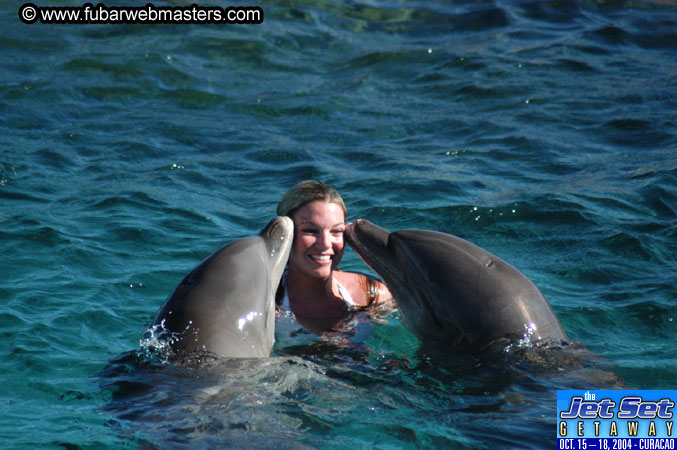 Saturday'sDolphin Swim Adventure and Animal Encounter 2004