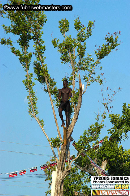Afternoon Catamaran Cruise 2005