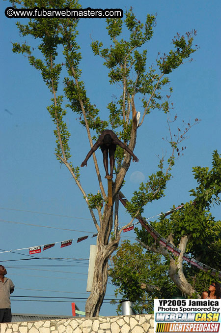 Afternoon Catamaran Cruise 2005