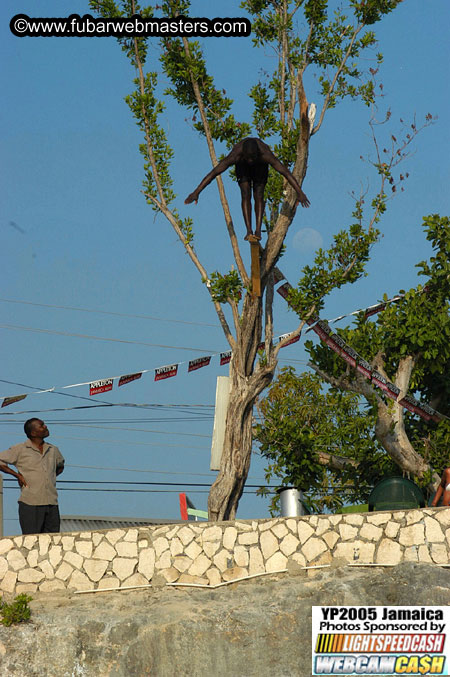 Afternoon Catamaran Cruise 2005