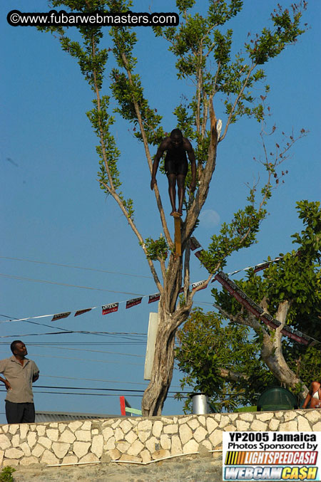Afternoon Catamaran Cruise 2005