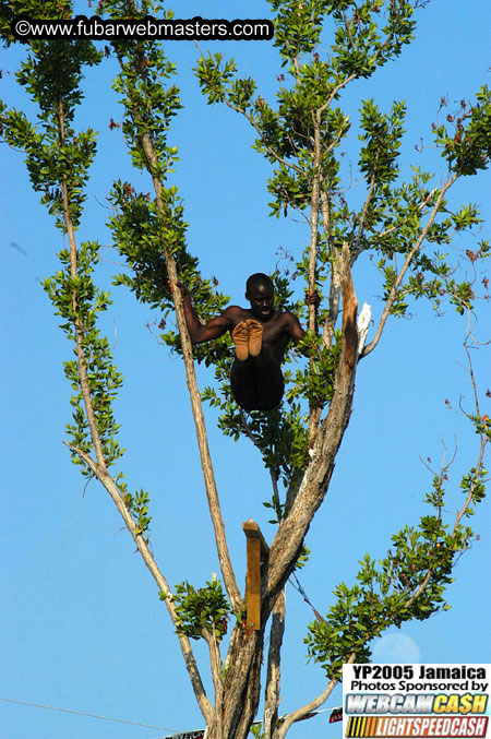 Afternoon Catamaran Cruise 2005
