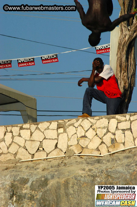 Afternoon Catamaran Cruise 2005